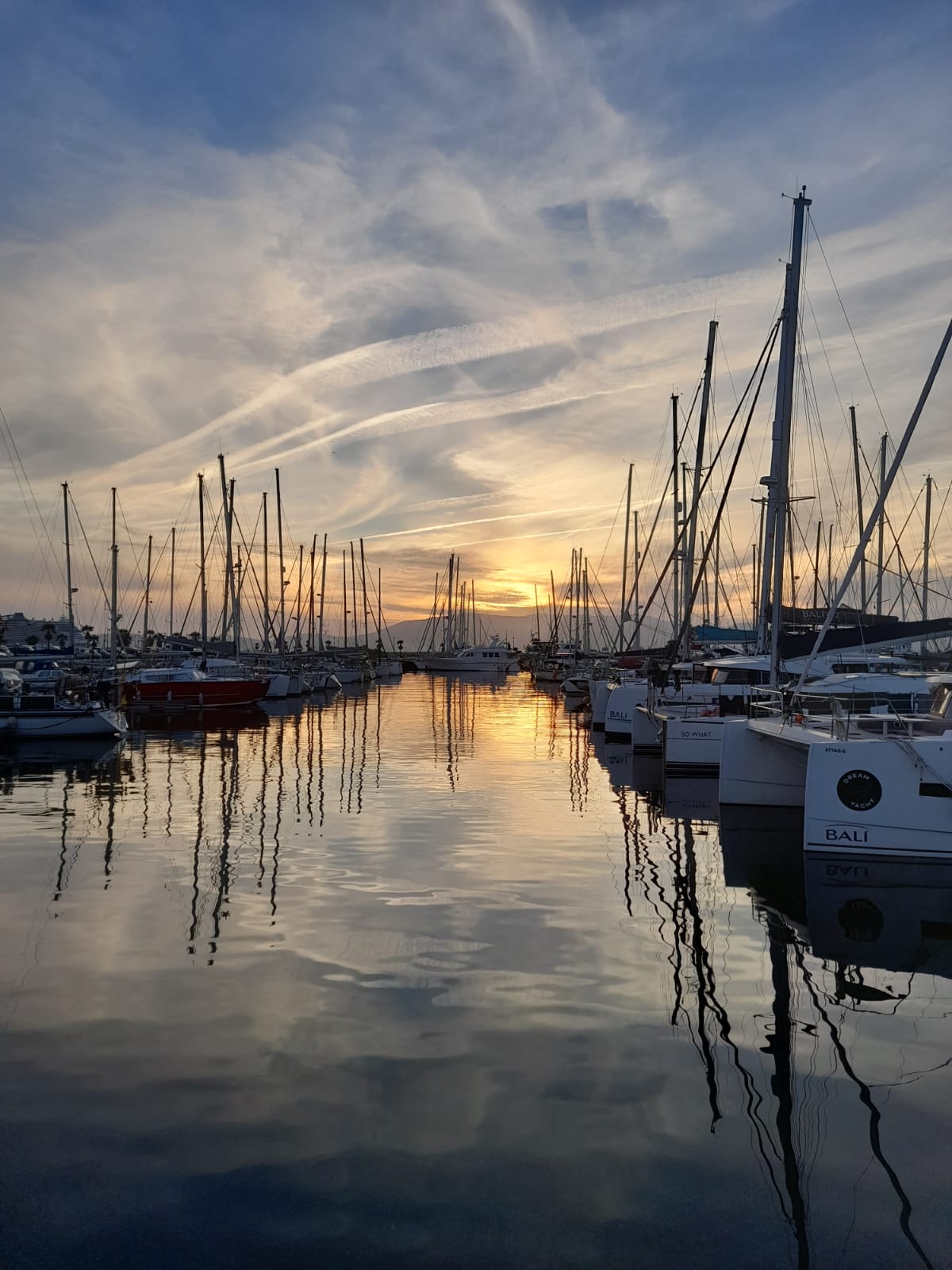 WhatsApp_Image_2024-11-20_at_14-26-52_(1)