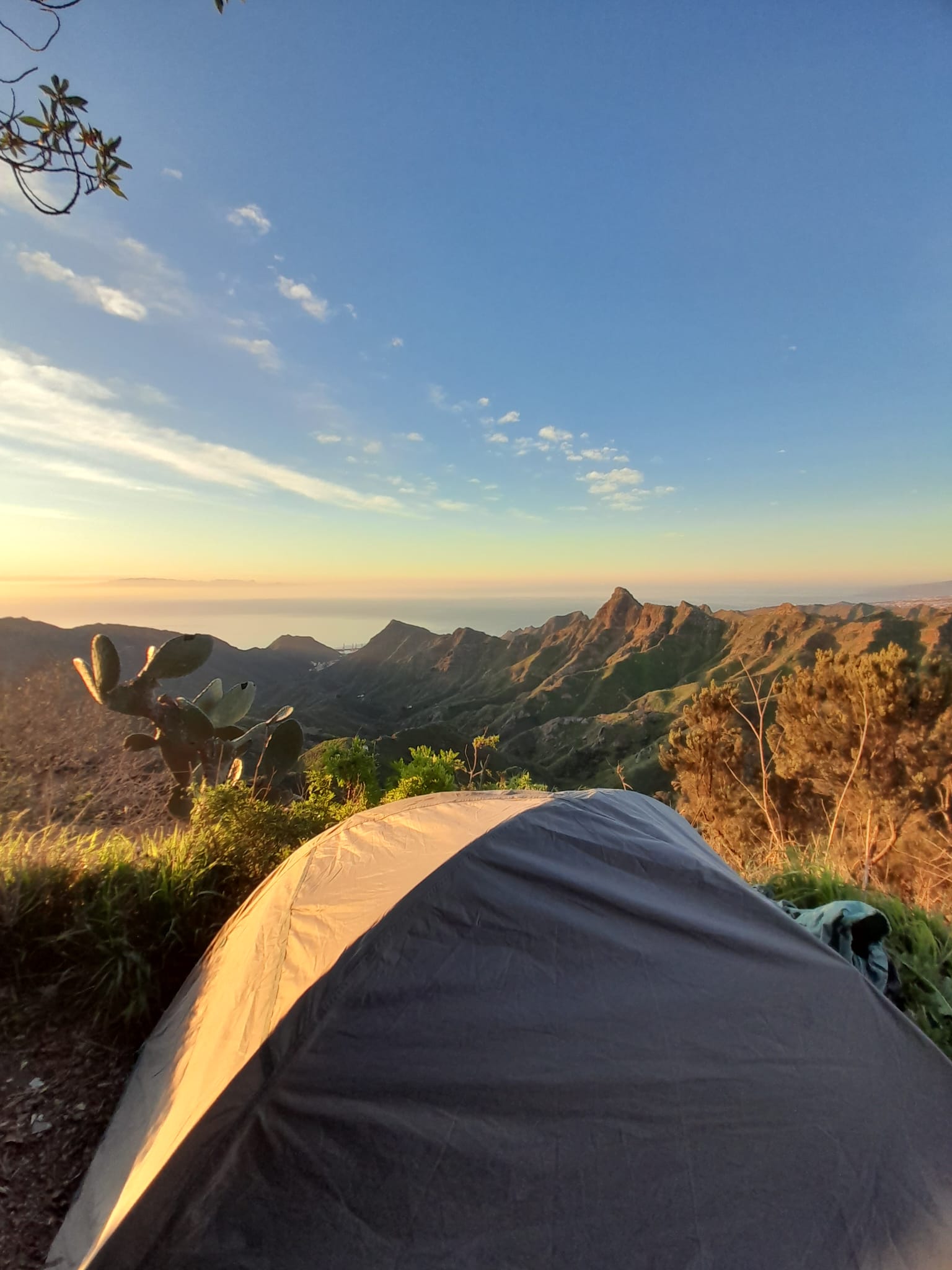 WhatsApp_Image_2025-02-26_at_09-02-22